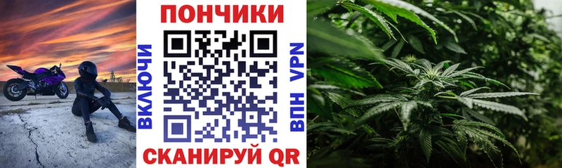 Каннабис гибрид  где найти   блэк спрут ТОР  Отрадный 